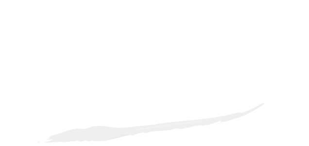 light logo